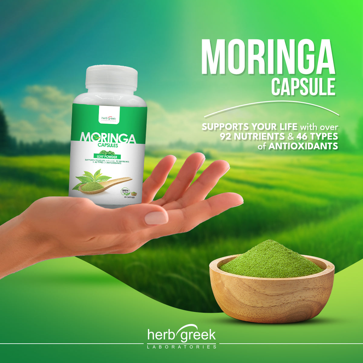 Moringa Powder